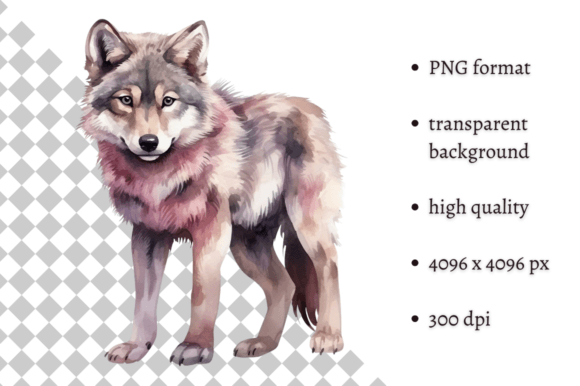 Download Watercolor Woodland Wolf PNG Clipart - Wolf png Collection