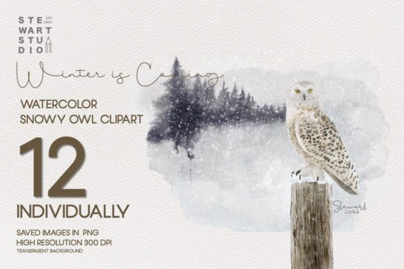 Download Watercolor Snowy Owls Clipart - Premium Resources